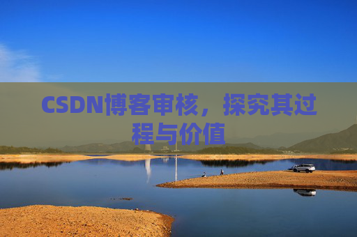 CSDN博客审核，探究其过程与价值